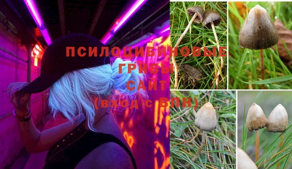 гашиш Дмитров