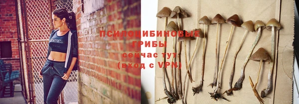 каннабис Дмитриев