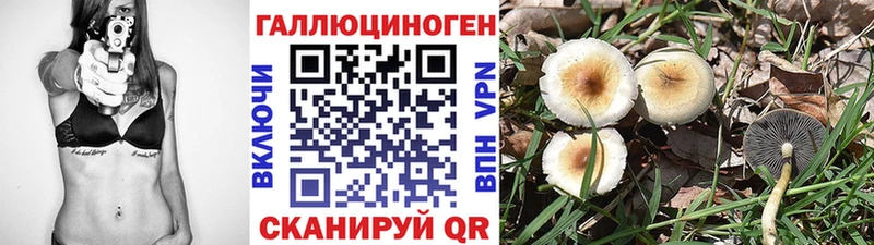 Галлюциногенные грибы Psilocybe  Бутурлиновка 