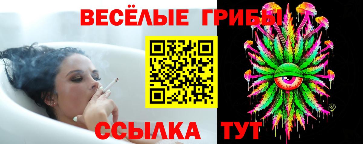 Псилоцибиновые грибы GOLDEN TEACHER Бутурлиновка
